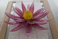 Blown Glass Water Lily Flower by Samuel Decker